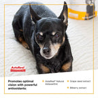 VETRISCIENCE Golden Years Clear and Bright Vision Support for Senior Dogs, Chicken Flavor, 60 Chews - Supports Cloudy and Teary Eyes and Ocular Blood Flow