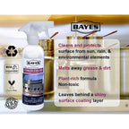 Bayes High-Performance Stainless Steel BBQ Cleaner, Polish, and Protectant - Cleans, Shines and Protects Exterior Stainless Steel Barbecue Surfaces, Shields from Outdoor Elements - 16 oz