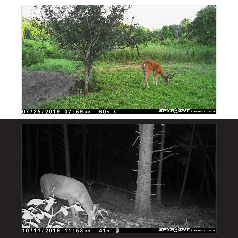 SPYPOINT Link-Micro-S-LTE Solar Cellular Trail Camera 4 LED Infrared Flash Game with 80ft Detection and Flash Range LTE-Capable Cellular Trail Camera 10MP 0.4-Second Trigger Speed