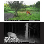 SPYPOINT Link-Micro-S-LTE Solar Cellular Trail Camera 4 LED Infrared Flash Game with 80ft Detection and Flash Range LTE-Capable Cellular Trail Camera 10MP 0.4-Second Trigger Speed