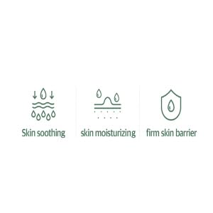 mixsoon Soondy Centella Asiatica Essence-Soothing, Calming and Hydrating for Face, Jeju Island Cica Extracts, Gentle Formula for Balanced, Healthy Skin 100ml / 3.38 fl.oz. Korean Glass Skin Care