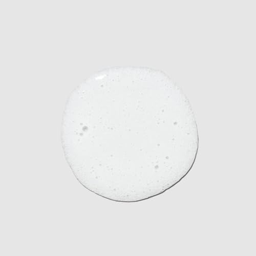 Paul Mitchell Instant Moisture Shampoo, Hydrates Dry Hair
