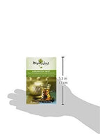 Mighty Leaf Tea Marrakesh Mint Green Tea, 15-Count Whole Leaf Pouches (Pack of 3)