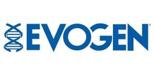 Evogen Amino K.E.M. - EAA & BCAA Powder Pump Volumizer | BCAAs Amino Acids Supplement for Blood Flow, Muscle Growth, & Hydration | Blueberry Apple | 30 Servings