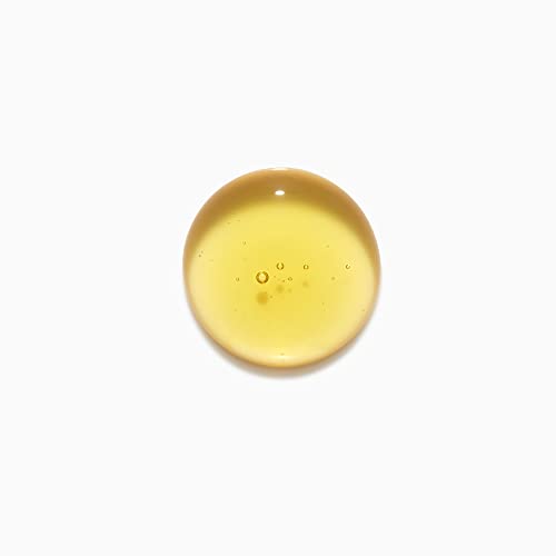 Kerastase Elixir Ultime Oil-infused Shine Shampoo | For Dull, Dry Hair | Softens and Restores Shine | With Argan Oil, Camellia Oil & Marula Oil | Le Bain | 8.5 Fl Oz