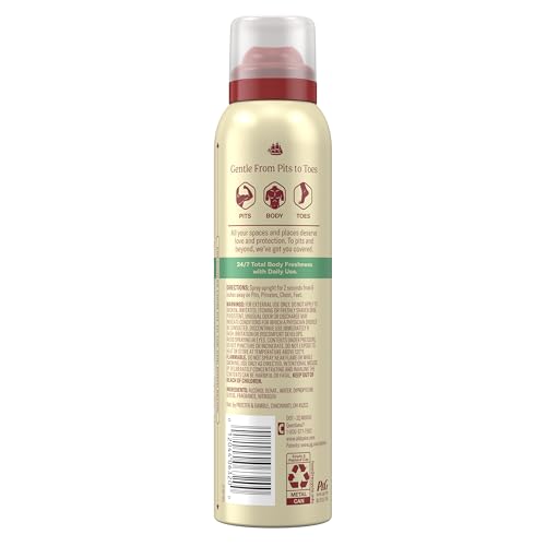 Old Spice Whole Body Deodorant for Men, Total Body Deodorant, Aloe + Rain, Aluminum Free Deodorant Spray for 24/7 Freshness // Dermatologist Tested Whole Body Deodorant, 3.5 oz