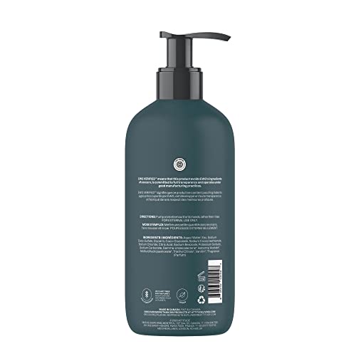 ATTITUDE Limited Edition Liquid Hand Soap, EWG Verified, Plant and Mineral-Based, Vegan Personal Care Products, Pine & Sage, 16 Fl Oz (Pack of 3)