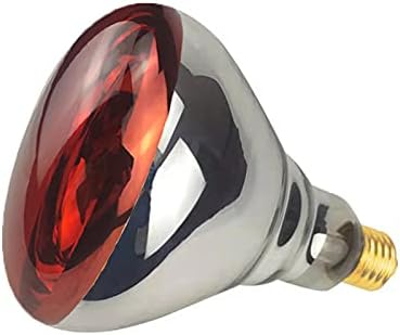 2 Pack Heat Lamp Infrared Bulbs Glass Lamp Bulb for Food Service, Brooder Bulb, Chicks, Pet, Bathroom, Light Therapy Use E26 Base, Flood Light Heat Lamp Bulb (Red, 250W)