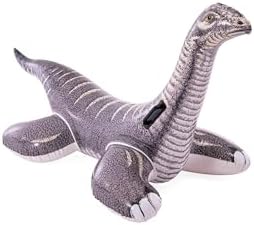 INTEX Inflatable Pool Float: Pool Toy for Kids