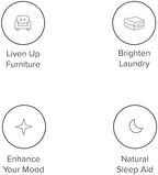 DRMTLGY Natural Linen and Room Spray Set - Pillow Spray, Linen Mist, & Fabric Spray 2 Pack - Lavender Chamomile & Green Tea