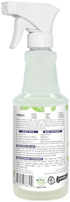 Mighty Mint Stain & Odor Remover, Natural Enzyme Spray Safely Neutralizes Odor and Stains from Dogs, Cats on Carpet, Furniture, Natural Peppermint Scent, 16oz