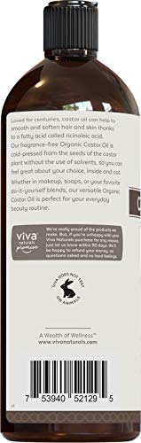 Organic Castor Oil for Eyelashes and Eyebrows - 16 fl oz, USDA Organic, Pure Hexane-Free Moisturizer Traditionally Used for Hair Growth, Natural Skin and Eyelash Serum, Cold Pressed with Beauty Kit