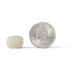 Airborne Vitamin C 1000mg (per Serving) - Citrus Chewable Tablets (116 Count in a Bottle), Gluten-Free Immune Support Supplement, with Vitamins A C E, Zinc, Selenium, Echinacea, Ginger, Antioxidants