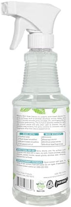 Mighty Mint Glass Cleaner, Non-Toxic, Ammonia-Free, Streak-Free Spray for Windows, Screens, Stovetop, Bathroom, Natural Peppermint Scent, 16oz