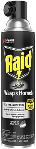 Raid Wasp and Hornet Killer, 17.5 Oz (Pack of 8)