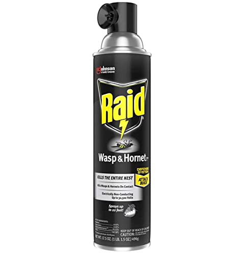 Raid Wasp and Hornet Killer Multi-Packs 17.5 Ounce (Pack of 6)