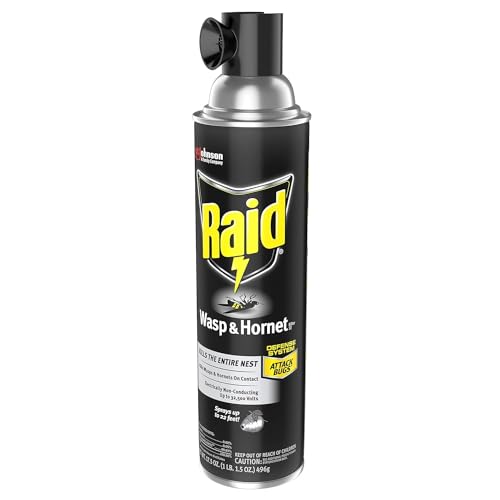 Raid Wasp and Hornet Killer (Pack - 10)