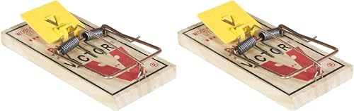 Victor M205 Easy Set Plastic Pedal Sustainably Sourced FSC Wood Humane Snap Rat Trap (Pack of 3)