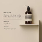 Aesop Reverence and Resurrection Aromatique Hand Wash Set | Gently Cleanses, Exfoliates, and Leaves Hands Smooth, Purified, and Refreshed | 16.9 Oz