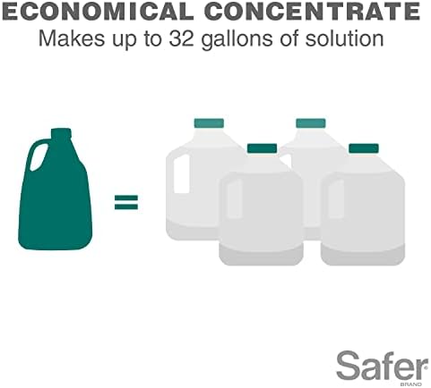 Safer Brand 5192-6, 16 oz Horticultural & Dormant Spray Oil Concentrate, 1 Pack, Green