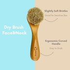 4pcs Dry Brushing Body Brush Set for Lymphatic Drainage-Natural Bristle Dry Skin Brush +Facial Dry Brush for Face+Dry Skin Exfoliating Scrubber+Wood Therapy Massage Tool. Gua Sha, Anti-Cellulite.