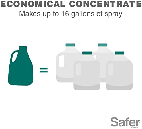 Safer Brand 5182-6 Neem Oil Concentrate Insecticide, Miticide, Fungicide for Plants - Kills Insects and Mites and Controls Fungal Disease - OMRI Listed for Organic Use
