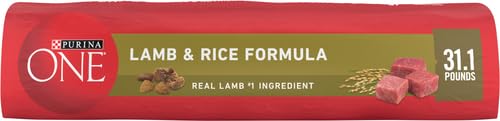 Purina ONE Lamb and Rice Formula Dry Dog Food for Digestive Support