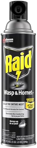 Raid Wasp and Hornet Killer (17.5 Ounce (Pack of 1))