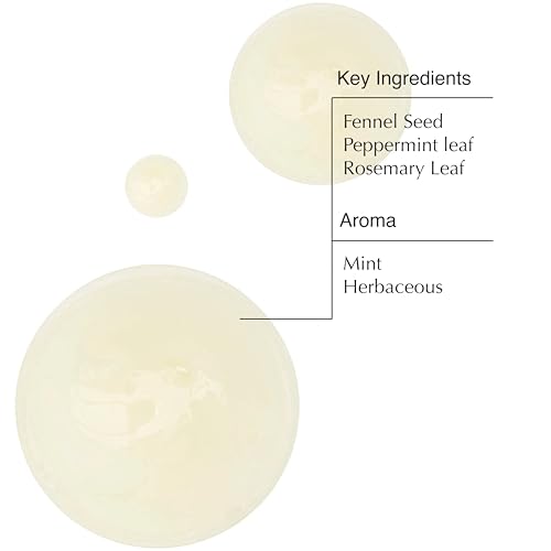 Aesop Volumizing Shampoo | Lifting Formulation for Volume and Body | Boosted with Polyquaternium 67 | 16.9 oz