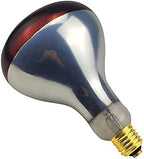 2 Pack Heat Lamp Bulb R40 250 Watt Roasted Red Infrared Explosion Proof Glass Heat Lamp Bulb for Reptiles, Chicks, Food, Bathroom, and Light Therapy, Use E26 Base