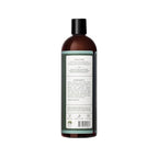 Aleavia Coastal Woodlands Mens Body Cleanse – Organic & All-Natural Prebiotic Body Wash for Men, Woodsy Notes Scented with 13 Essential Oils, – Nourish Your Skin Microbiome – 16 Oz.