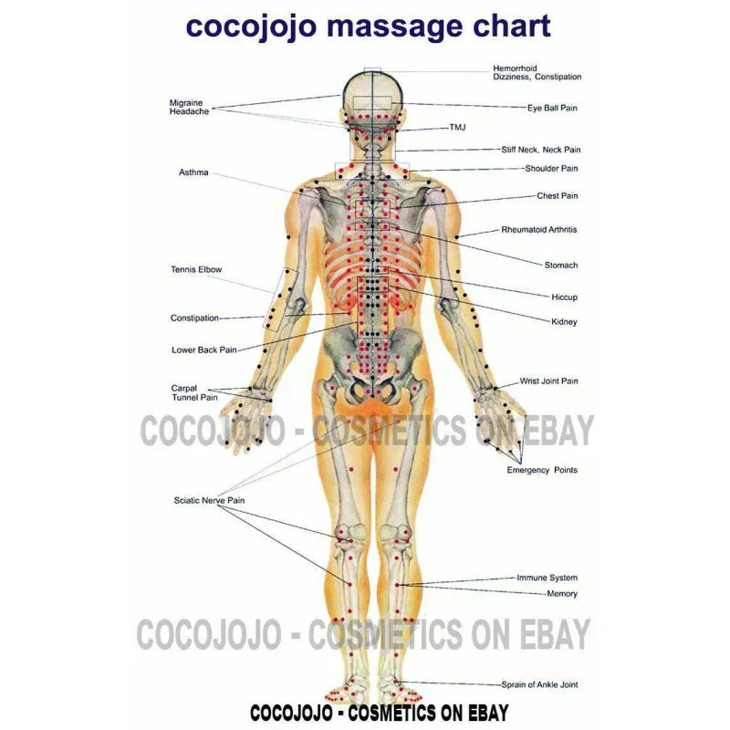 cocojojo Pure light emu oil blend with argan moroccan, jojoba, sweet almond massage oil - 128 oz / 1 Gallon