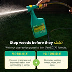 Sunday Weed & Green - Weed and Feed for Lawns - Pre-Emergent & Post-Emergent Weed Killer Spray - Includes Hose-End Sprayer - For Crabgrass, Broadleaf Weeds & Lawn Diseases - Covers 1,250 sq ft - 32 oz