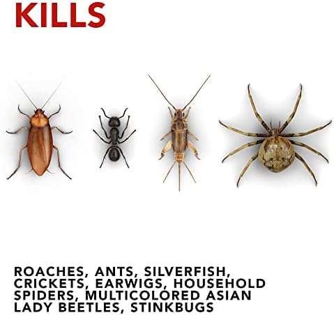 Raid Max Ant and Roach Spray, 14.5 Ounce (Pack of 2)