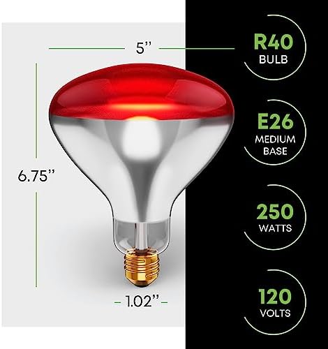 250 W att R40 Incandescent Light Bulbs (2-Pack) - Bathroom Infrared Heat Lamp for Chickens Chicks Puppies Reptiles Livestock Poultry , Sauna Red Light Therapy Bulb | 2,000 Hour Rated, E26 Base, 120V