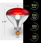 250 W att R40 Incandescent Light Bulbs (2-Pack) - Bathroom Infrared Heat Lamp for Chickens Chicks Puppies Reptiles Livestock Poultry , Sauna Red Light Therapy Bulb | 2,000 Hour Rated, E26 Base, 120V