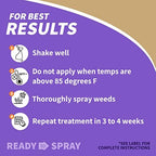 Bonide Captain Jack's Lawnweed Brew, 32 oz Ready-to-Spray, Fast-Acting Formula Controls Weeds, Moss, Algae, Lichens & Disease