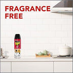 Raid Ant & Roach Spray Outdoor Fresh 17.50 oz (Pack of 6)