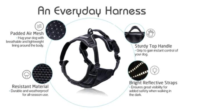 rabbitgoo Dog Harness, No Pull for Large Dogs with 2 Leash Clips, Pet Vest