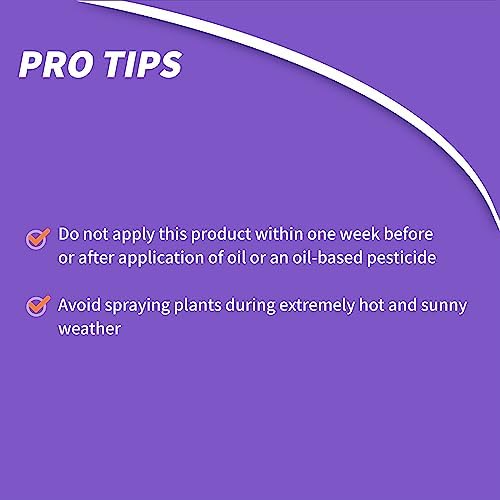 Bonide Fung-onil Multi-Purpose Fungicide, 16 oz Concentrate for Plant Disease Control, Controls Blight, Mildew & More