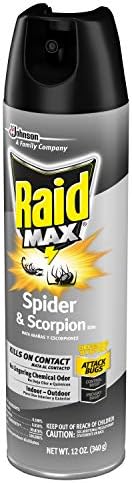 Raid Max Max Spider & Scorpion Killer - 12 oz - 2 pk