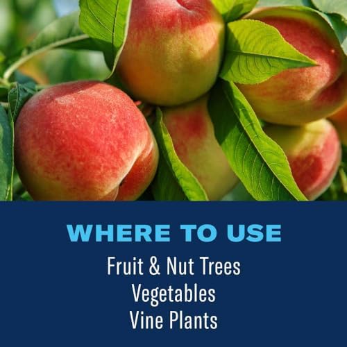 BioAdvanced 3-in-1 Fruit, Citrus & Nut Tree Spray Ready-to-Spray, 32 oz