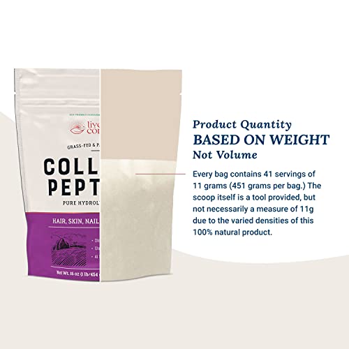 Live Conscious Collagen Peptides Powder - Hair, Skin, Nail, and Joint Support - Type I & III Collagen - Naturally-Sourced Hydrolyzed Protein - 82 Servings - 16oz (2-Pack)