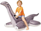 INTEX Inflatable Pool Float: Pool Toy for Kids