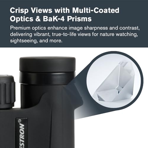 Celestron - Outland X 10x25 Binoculars – Ideal for Birding and Outdoors – 25mm Objective Lenses – 6.2° Field of View – BaK-4 Prisms – Multi-Coated – Waterproof and Fogproof