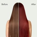 Wine Red 3 in 1 Hair Dye Shampoo Argan Oil, Easy to Use for Men & Women, 16.9 Fl Oz