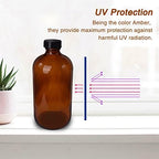 12 Pack 16 oz Amber Boston Round Glass Bottles with Black Caps for Secondary Kombucha Fermentation and Lab Chemicals (2 Funnels and 20 Pieces Black Chalkboard Labels Included)