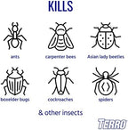 TERRO T1700SR 2 Pack 19 oz Outdoor Ant Killer Spray, White