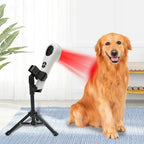Cold Laser Therapy Device for Dogs - Pet Laser Therapy with Dual Wavelength(808nm+650nm, Red Light Therapy for Dogs for Pain Relief Arthritis, Spinal, Promote Blood Circulation