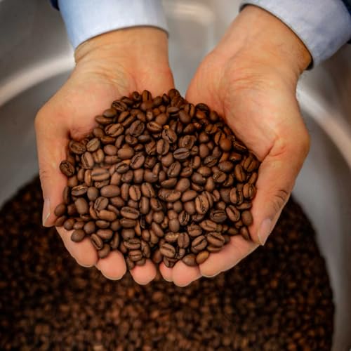 DAYES Enzyme Fermented Whole Bean Coffee - 16 oz (450g) I Low Caffeine Whole Bean Coffee I Medium Dark Roast I Low Acid I Digestion Friendly (16 Oz)